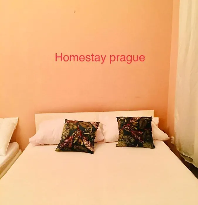 Hotel Flat In Centre Prague 2-1