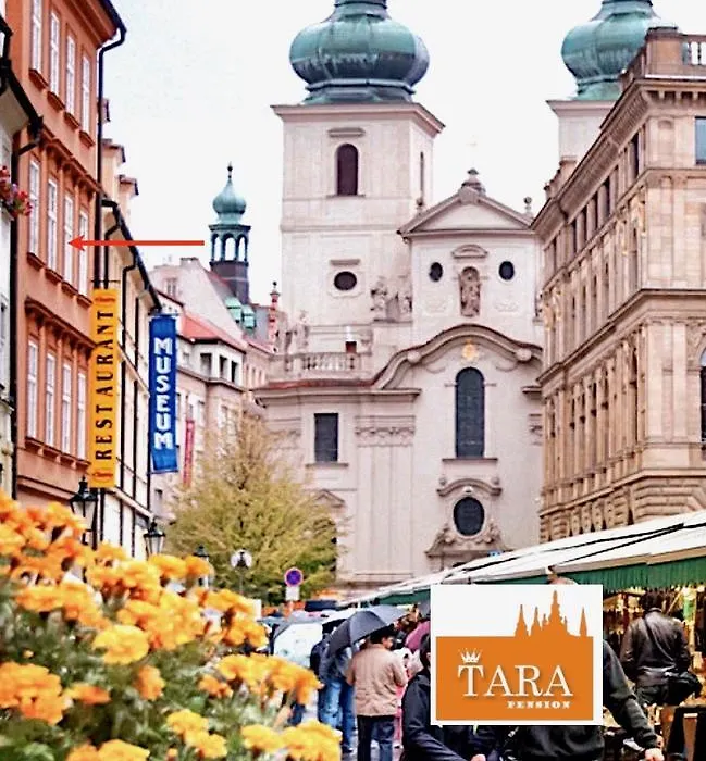 Pension Tara-1
